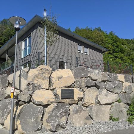Ferienhaus Schieferterrasse - Waldsee Rieden - 외부 사진